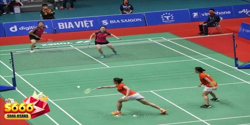 Cá cược cầu lông Cá cược cầu lông