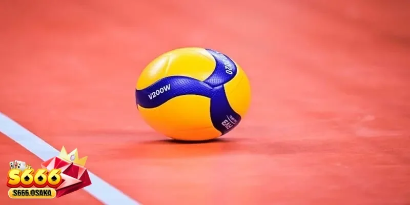  cá cược bóng chuyền